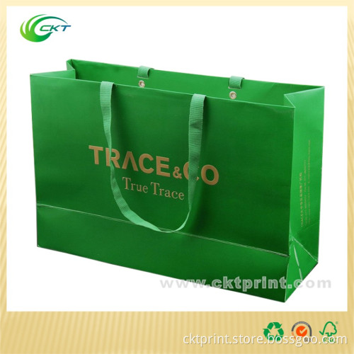Custom Paper Bag for Shopping (CKT -PB-231)